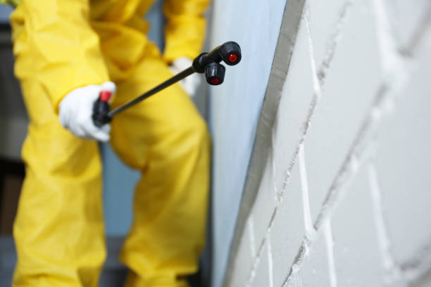 Best Pest Prevention Services  in USA